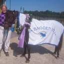 stallnysater